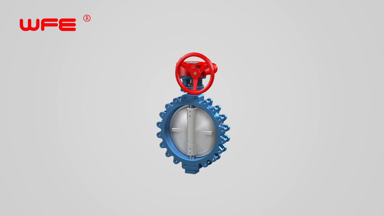 WFE Lug Sealing Butterfly Valves 3D Demonstration