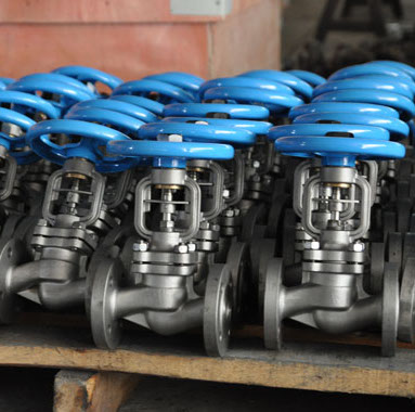 Globe Valve