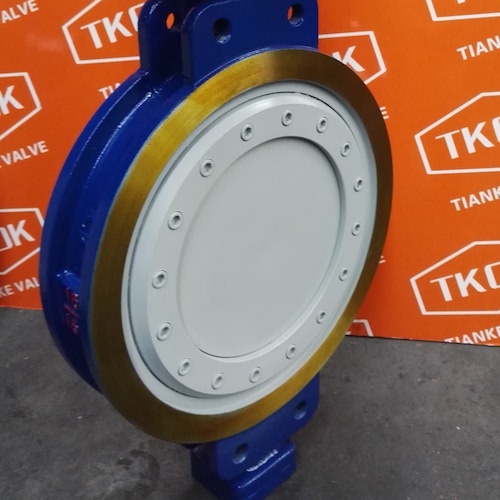 Worm Gear Wafer Butterfly Valve