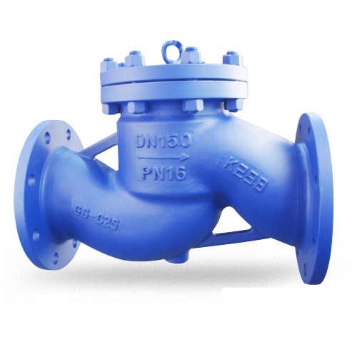 DIN Lift Check Valve