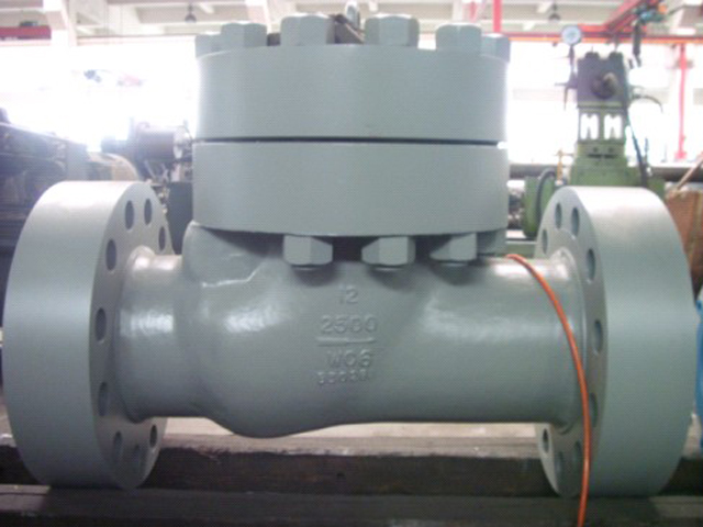 2500LB WC6 High Pressure Check Valve