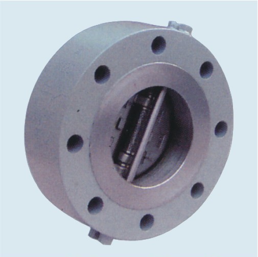 Stainless Steel Dual Plate Check Valve